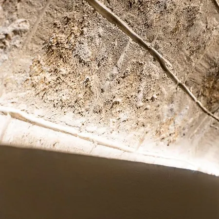 Le Cave * باري